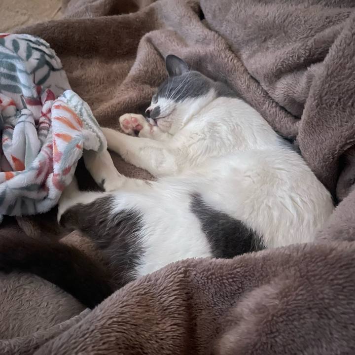 Efdae651 45f0 41c6 9e14 9049557eea7c 1679955554095