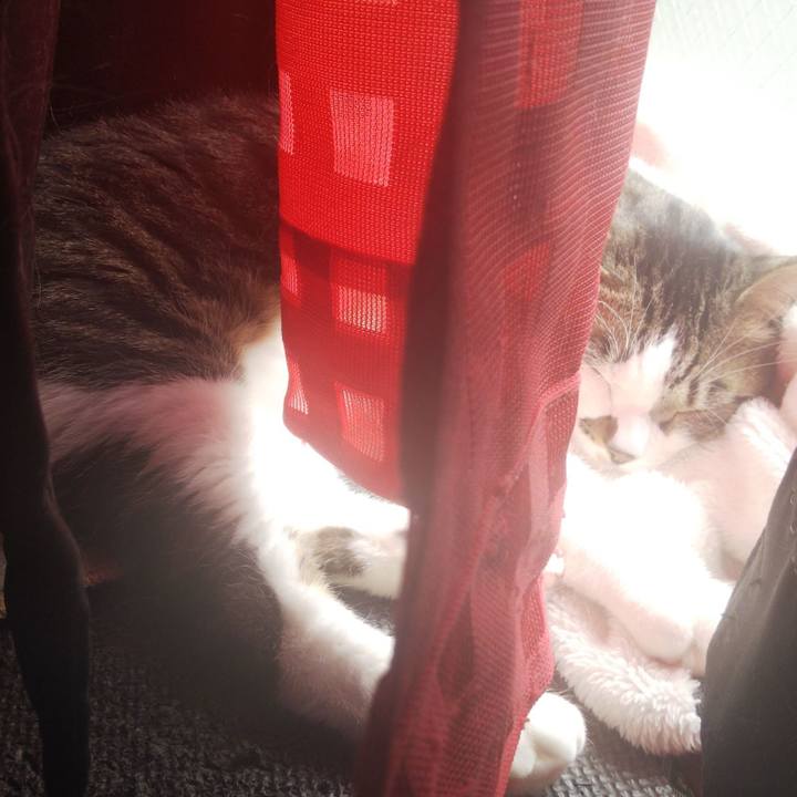 Efdafc60 4b80 4227 baef 706d81a9846e 1647138909901