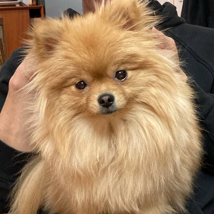 Efdb0390 e466 478d 8861 e6505ad46500 1678160821671