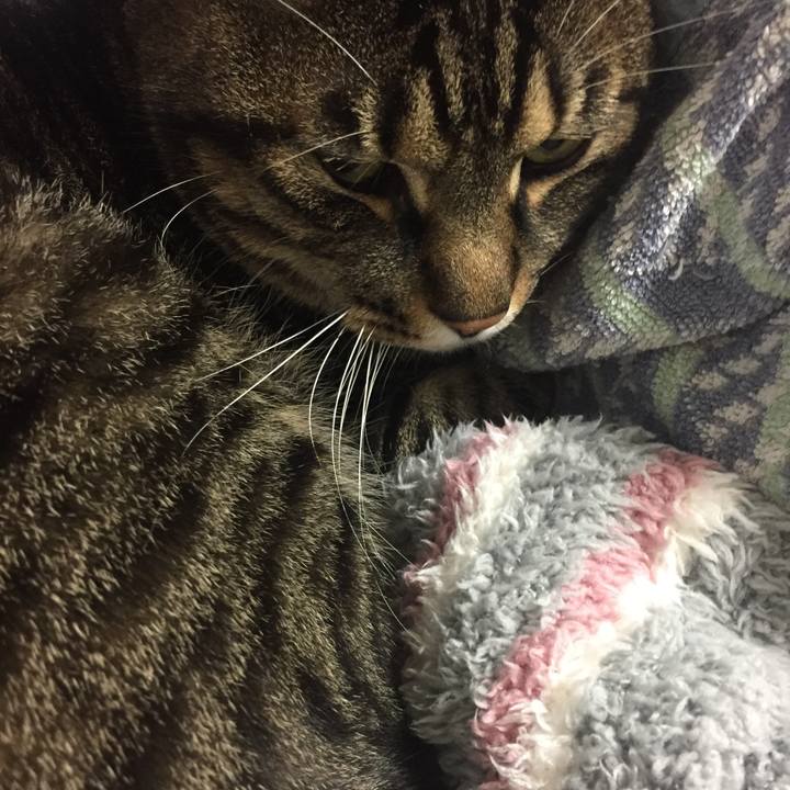 Efdb0835 5030 4af0 b73d 2678734e70b3 1509976945346