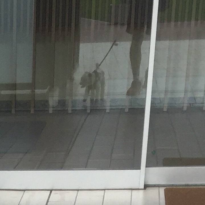 Efdb1a05 e210 4687 ad21 0b625d8ea530 1533945472172