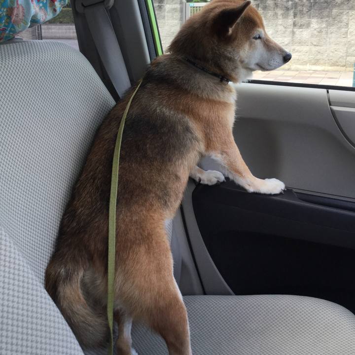 Efdb5b08 b3ee 4d05 ac6d a4fc86ad2759 1630041176621