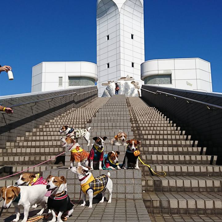 Efdb82ee 614a 4965 a2b3 7e3caac7387d 1603617199893