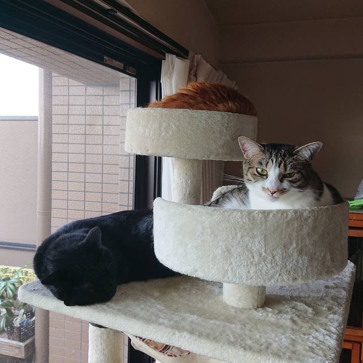 Efdbbfef a360 4e22 9520 28db1716a6a2 1590802774767