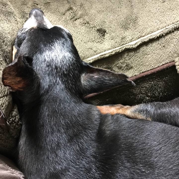 Efdbc91d 9999 44a4 9640 89ed744e1e4a 1544277126187