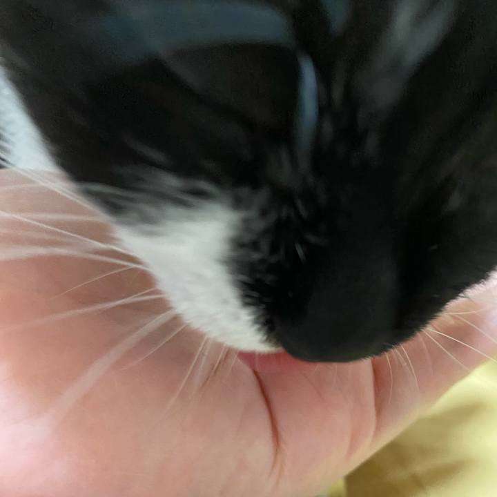 Efdc0a5e 279d 4133 b342 f2afd7a5a3d3 1629904673340