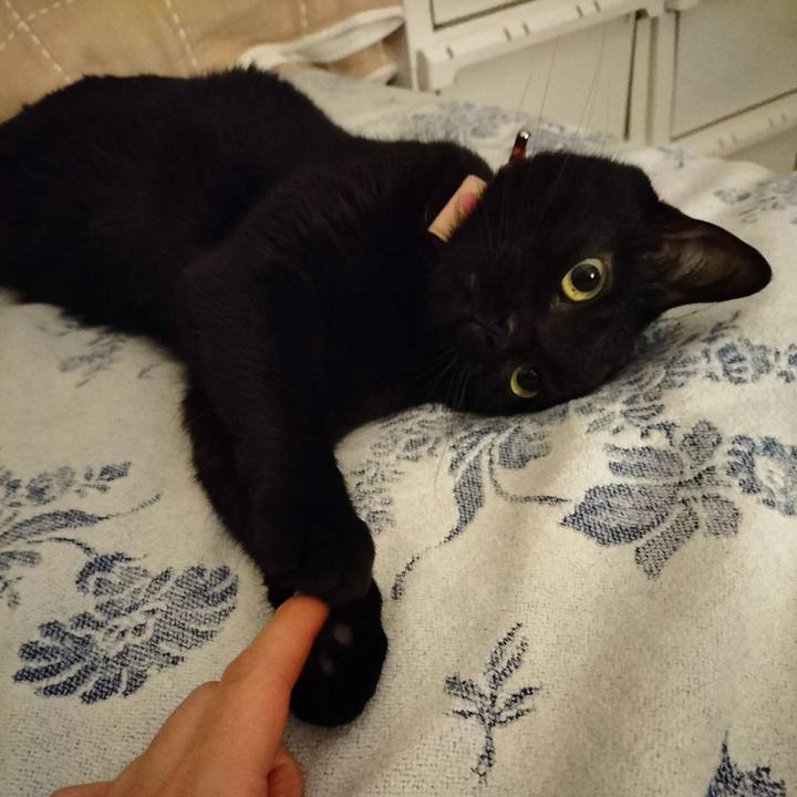 Efdc11b8 1d0b 489a b290 de88216ff2f3 1680435490519