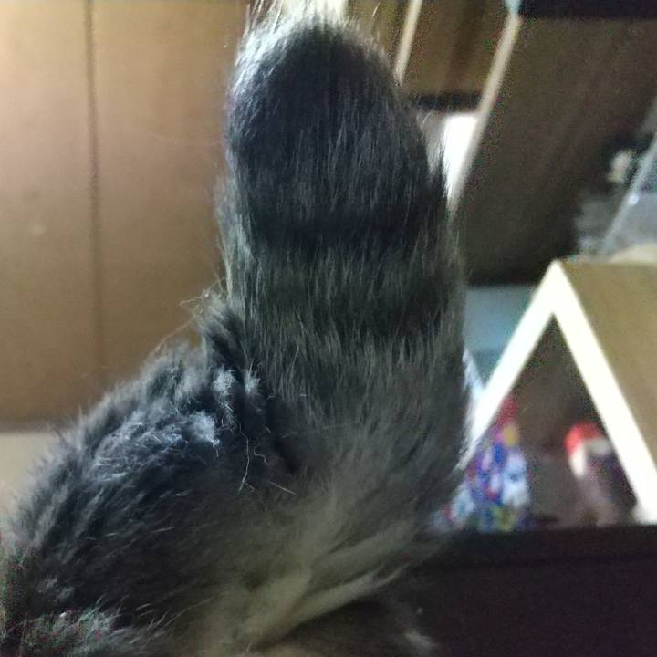 Efdc365d 6cfd 4bf3 9165 b7d8dd5e34c8 1652097694923