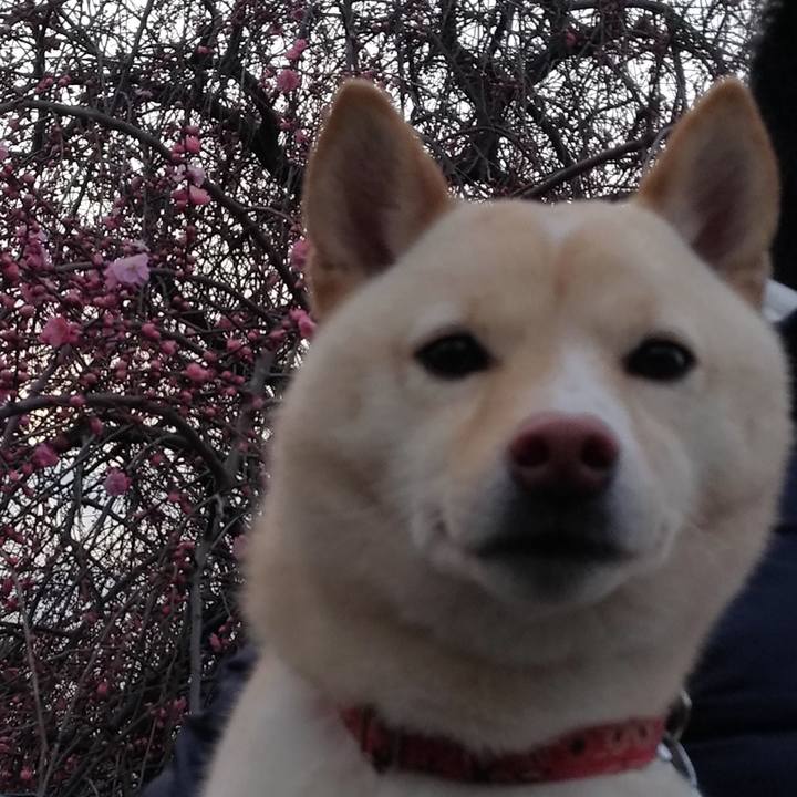 Efdc5878 33c5 4461 b88b 140c0e1e17d6 1550822588061