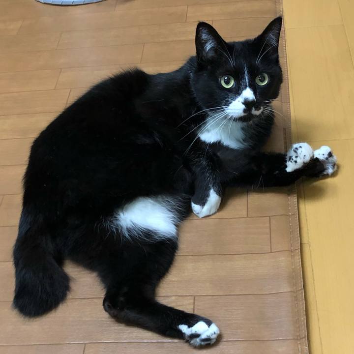 Efdc64c0 eb29 44f8 9652 6ad6122590be 1623901341150