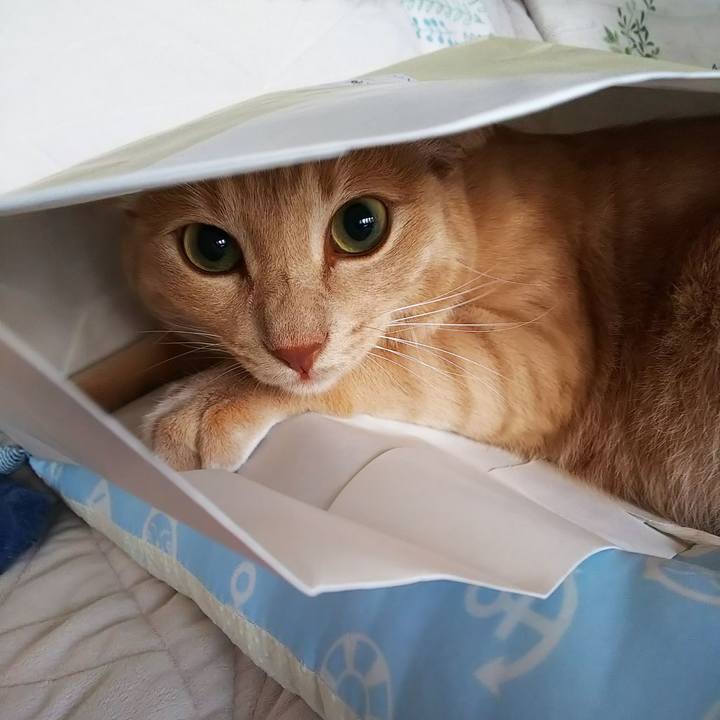 Efdc711a a2ff 44b2 ad01 30b101b5629a 1600586378218