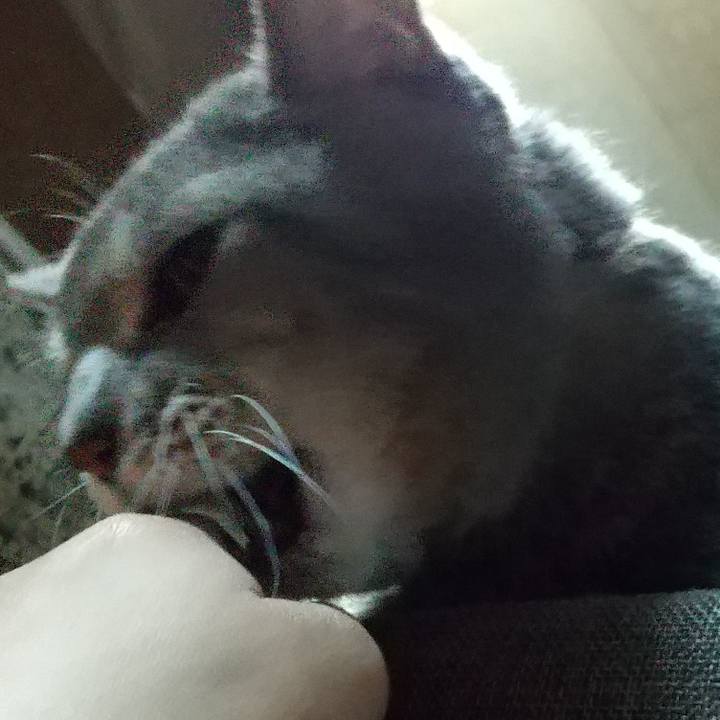 Efdc72c9 b004 41ad ac20 bab96da097e8 1679784243611