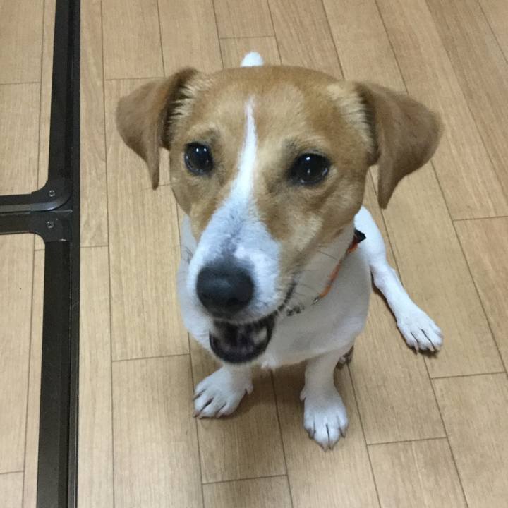 Efdc7834 5903 45ea a179 664f673bf509 1526292026610