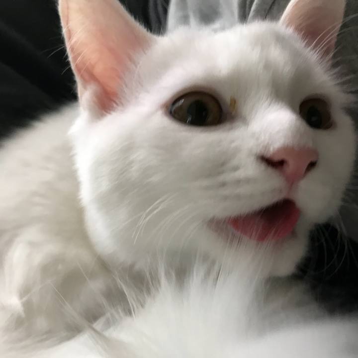 Efdca4db 8e64 4208 916d 879d1d372cd8 1510794110404