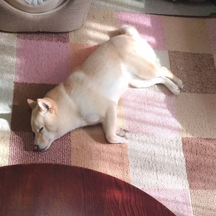 Efdca58e be1c 40aa 99c3 8c951a1c67f6 1581645416994