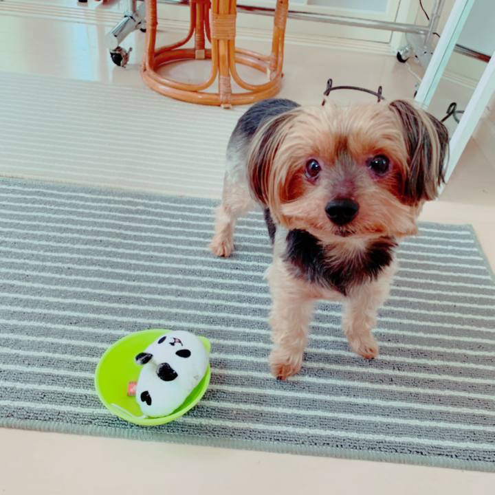 Efdd04f2 9fc8 460d a8c7 9f9c035fdf11 1587097865434