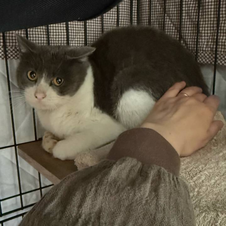 Efdd3455 7083 429d a9df 78ea662fbde4 1775738814777