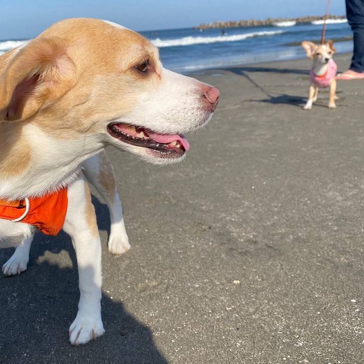 Efdd36c3 82dc 4cc7 a6df c1b6899b6114 1683232816658