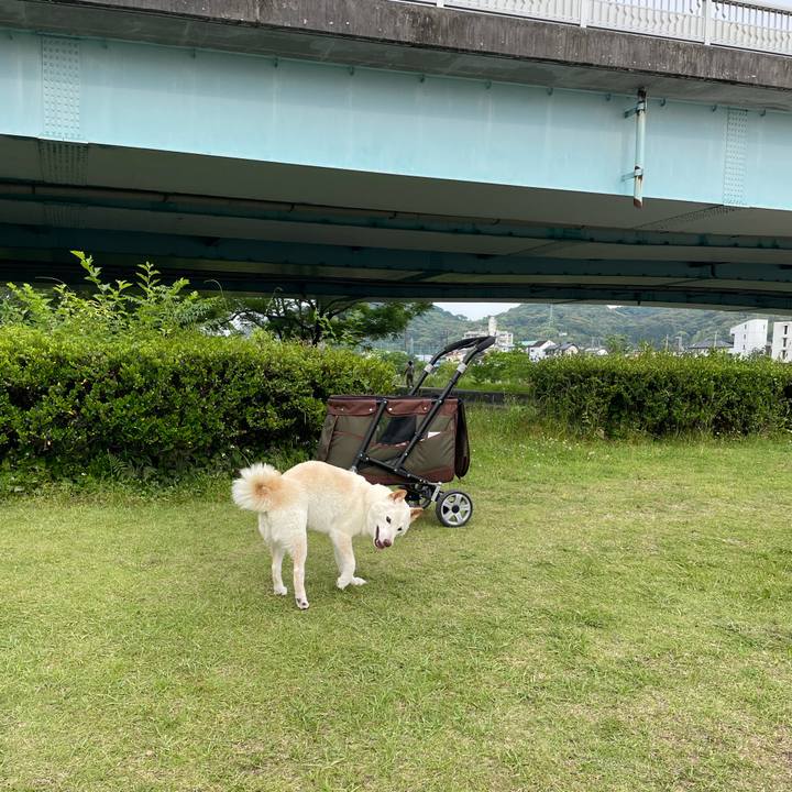 Efdd4e15 c1fe 4d8a 8e6b b6f7f72fec88 1653316049692