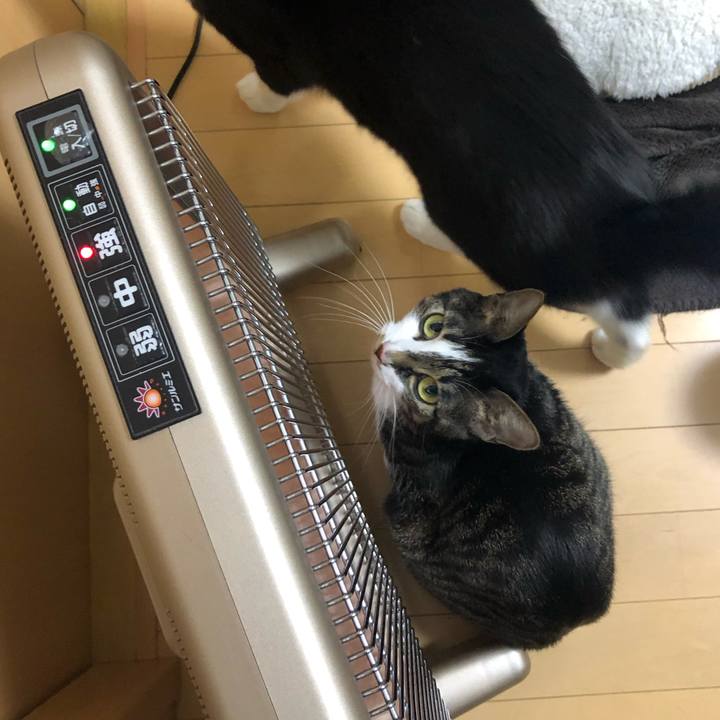 Efdd50f7 64ee 47bf a8ee 9dbf937a47be 1581003417753