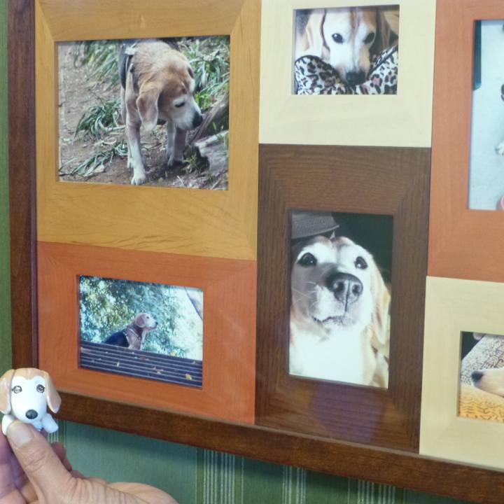 Efdd52ee 8663 4079 bc9d 7cd86ff297a2 1580438575620