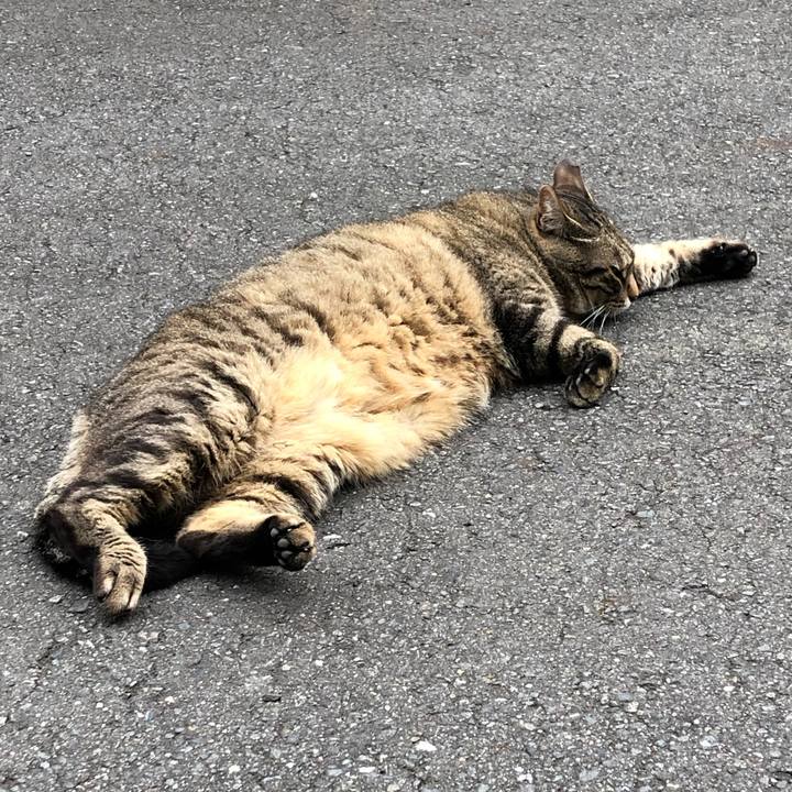 Efddb25f fcc8 4a00 b945 9906a93306b8 1562149195120