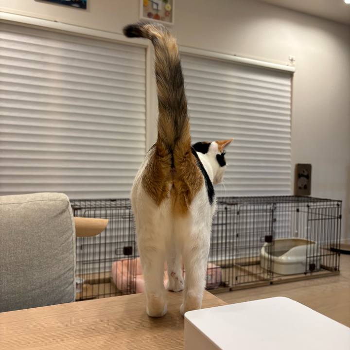 Efddca6c 396e 407e a04d 930f9f9dba8d 1768641526858