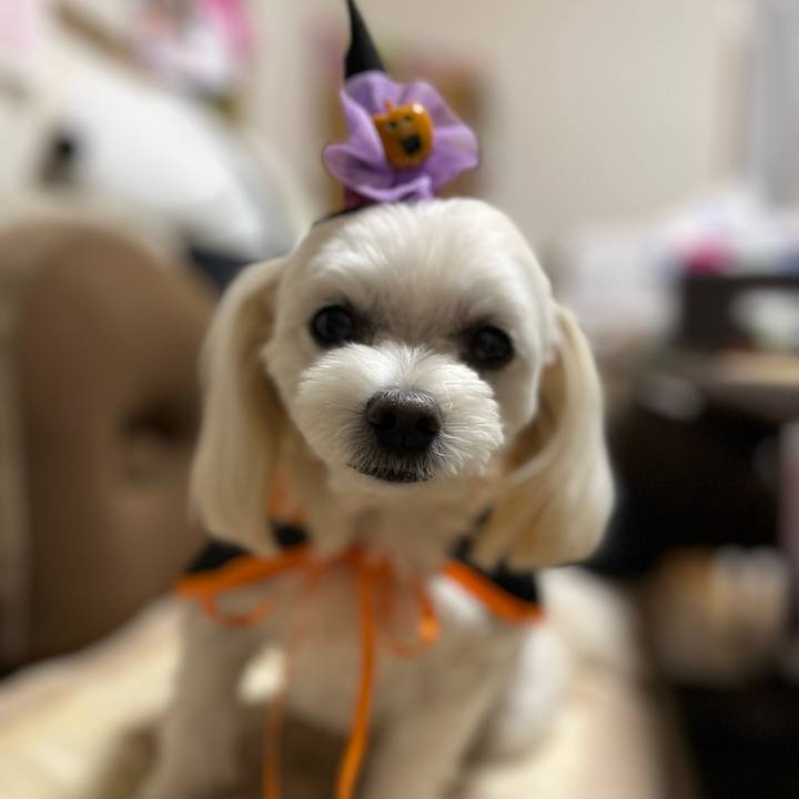 Efdddf37 d6ab 4faf 8f21 e810157055f8 1698761922275