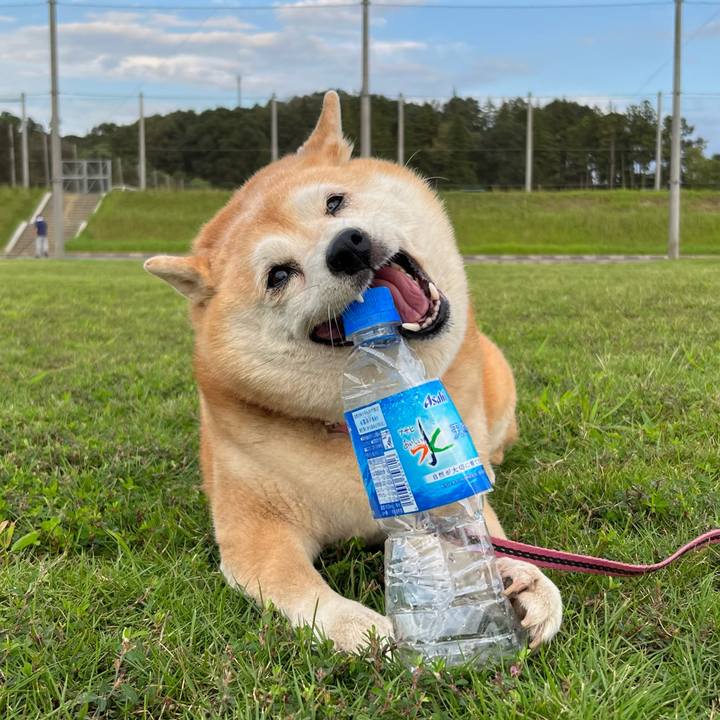 Efde2937 a141 486b aa1d ecd1e250ef68 1696248726206