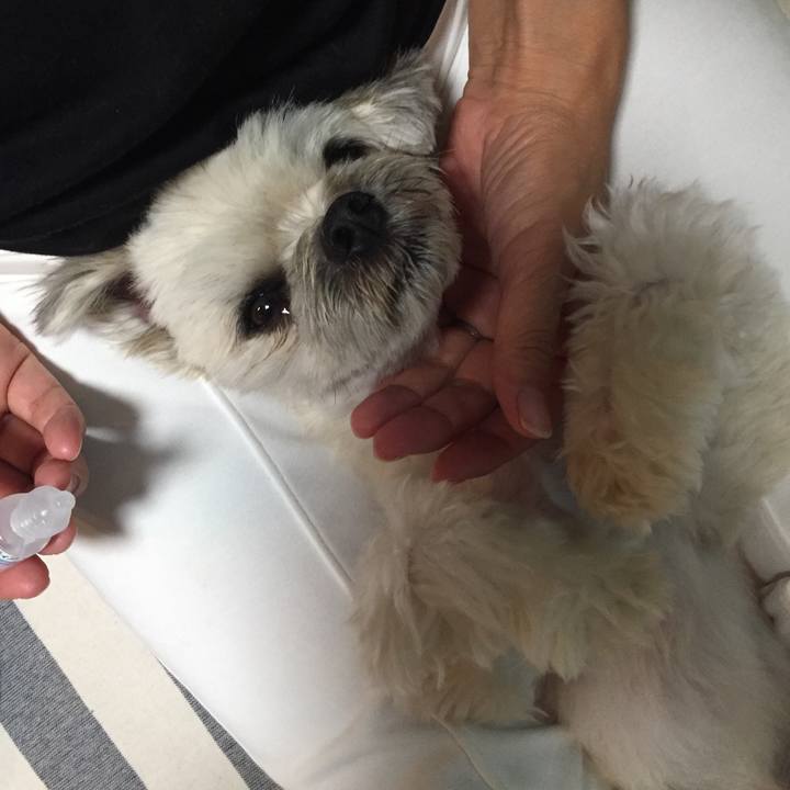 Efde3f01 8c69 4e14 8b17 da7ff8ac8dba 1561033630729