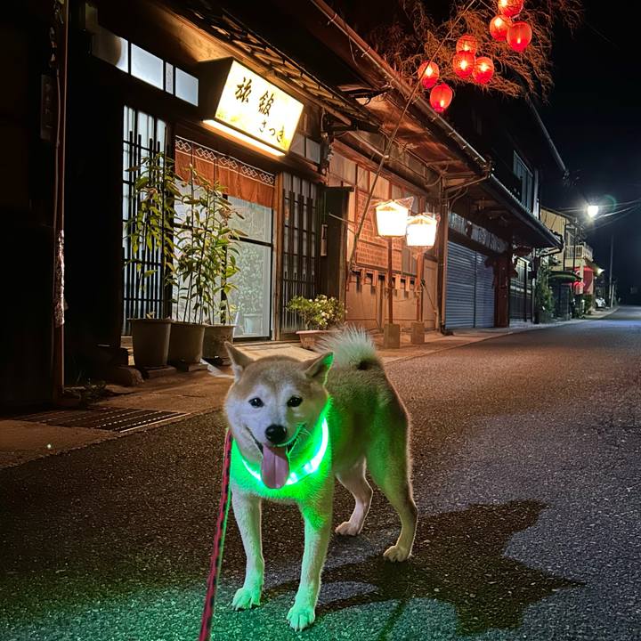 Efde9cfe a8bb 467b 9a00 e5c0206d62df 1721389510822