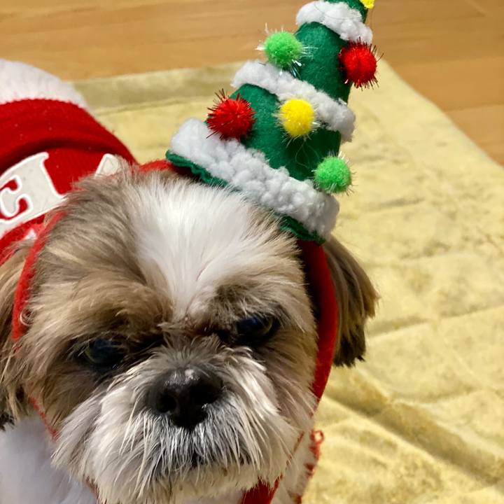 Efdea005 c438 42d5 bb33 552472f2be5e 1667826275137