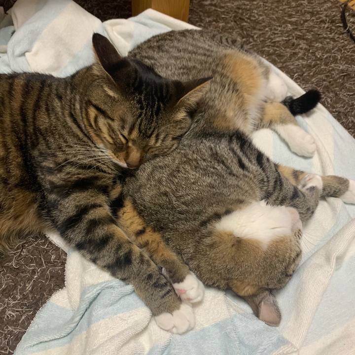 Efdedb8d 9306 4ea9 8a66 453d5ca191f9 1580780137319