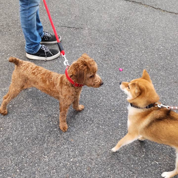 Efdee817 8798 4bf8 a627 15d530f6a170 1642035497734