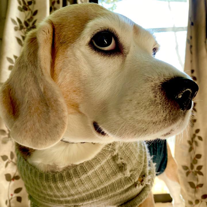 Efdef32d f749 45df 81f9 10d52986c014 1611290496481