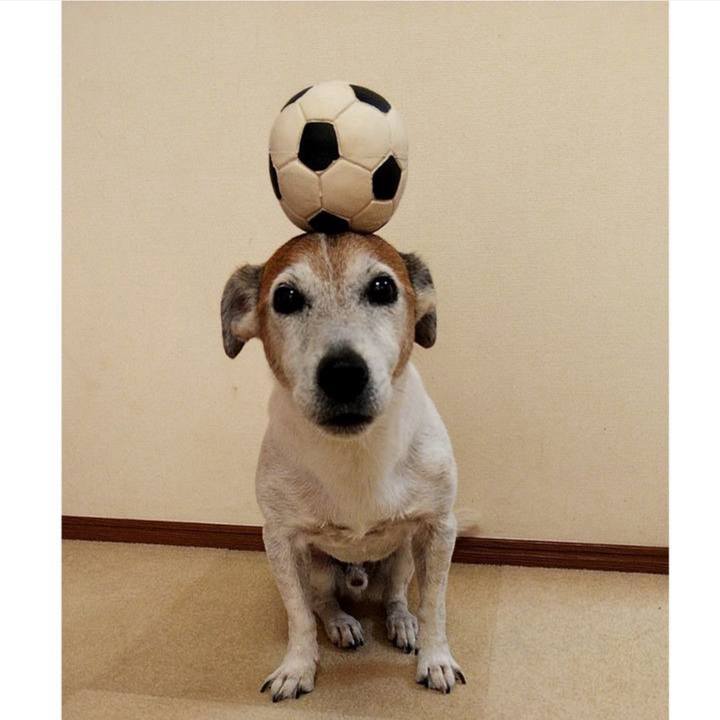 Efdf2120 f35c 4478 b1a4 093271d9bb75 1722167122652