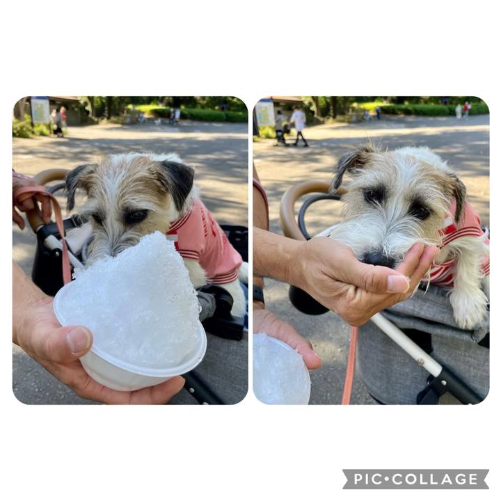 Efdf32a2 0716 4a5e 8868 45c7da8961cf 1664631290834