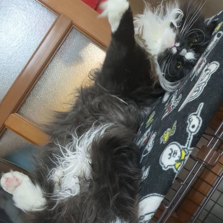 Efdf6c22 e27a 4c39 b208 df7485a30a62 1732490435854