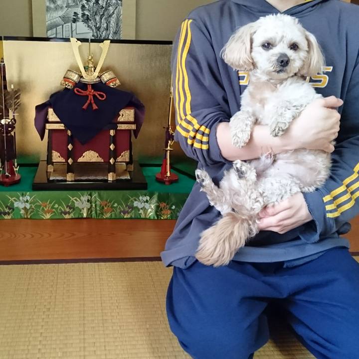 Efdf77e6 dd5b 4728 9323 52b849934ff3 1557022474958