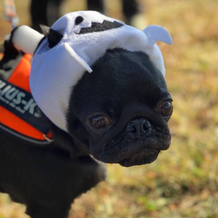 Efdf7cd7 15f7 4a6d b7ae c1d548283e9c 1604133492690