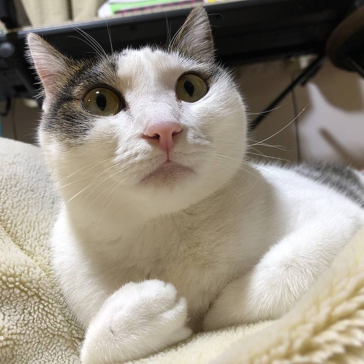 Efdf81bc fe2e 4f7d b539 1188f96a0d14 1665232100412