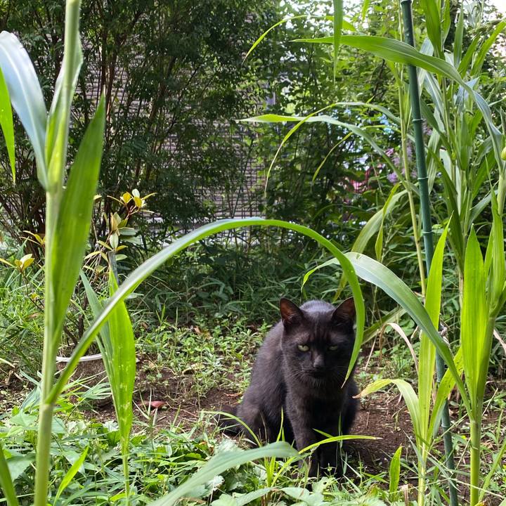 Efdf83da 5972 481e 8200 03c8e6ee71c3 1724927169676