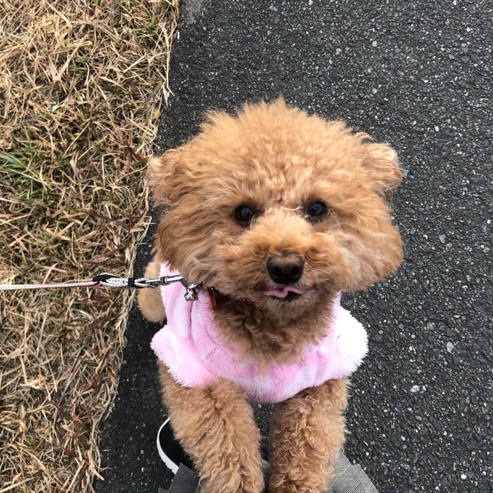 Efdf9fcb 98b6 457d a4d7 4612668d956f 1608463571429