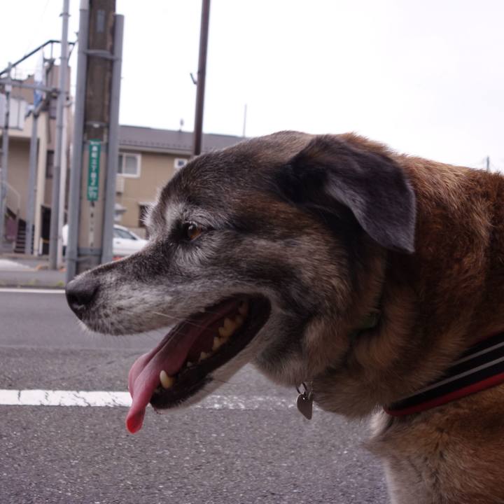 Efdfbff1 df1f 4c8b 8929 f5e0ae1fac49 1526517261986