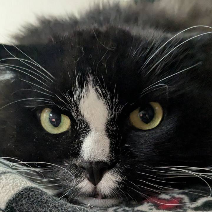 Efdfe874 e241 4725 bb49 43a11d54752c 1760528828402