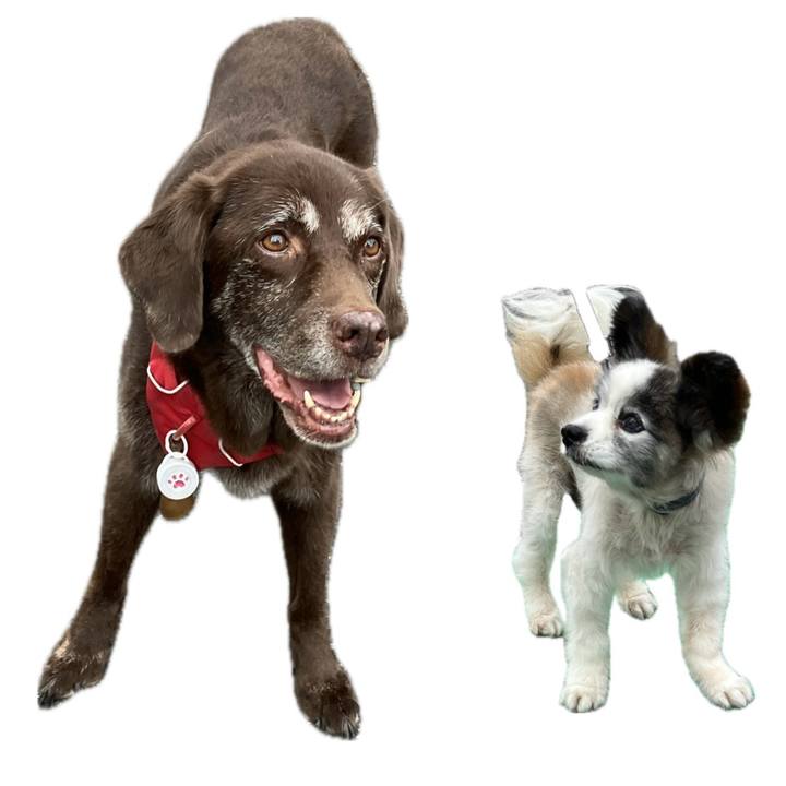 Efdfeb3f 9da9 4159 bcbb c010980f27fc 1759805519672