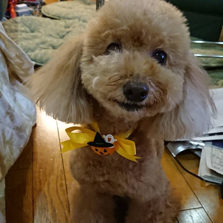 Efdff74c 0c5d 4df1 9bf0 7d954f405eb9 1540274528138