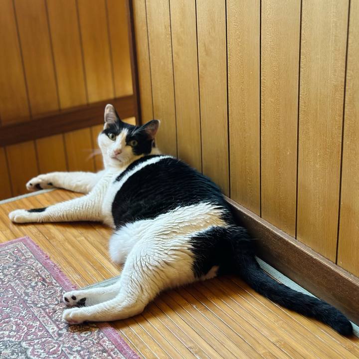 Efe03d2d 3dd1 4165 8e56 d823b3b0a0e6 1722815650115