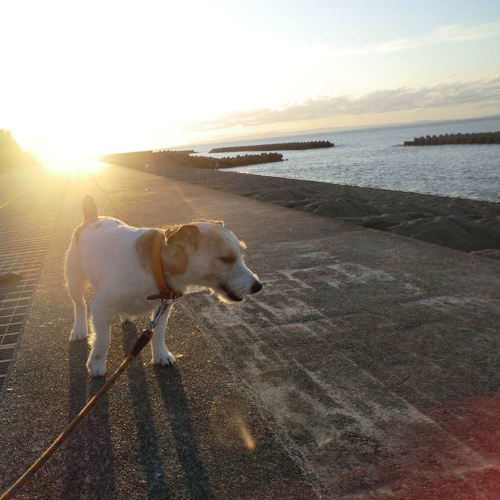 Efe05de9 c49f 4952 85dd b712ea7180f8 1572862414813