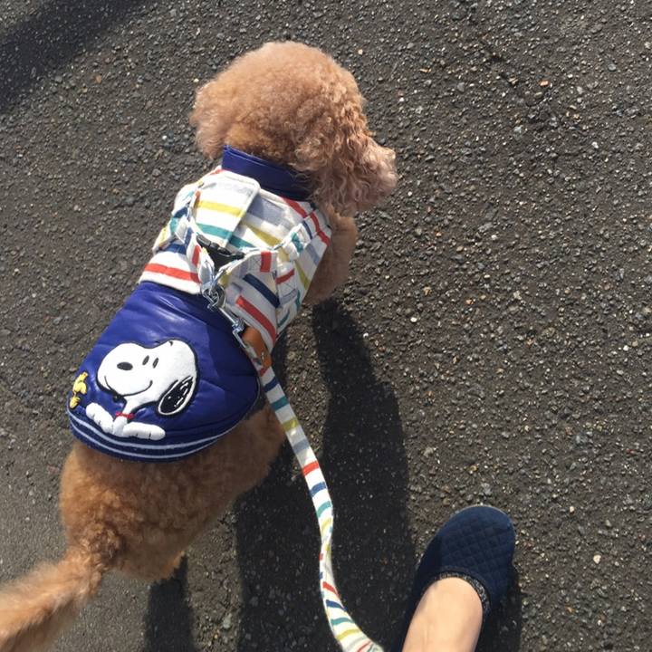 Efe06119 726d 4711 bcfb 9e580097c242 1571748872522